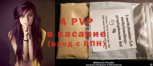 PSILOCYBIN Лагань