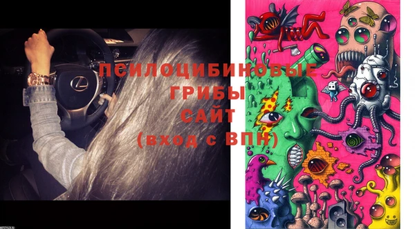 PSILOCYBIN Лагань