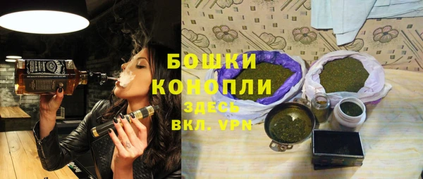 бошки Алексин