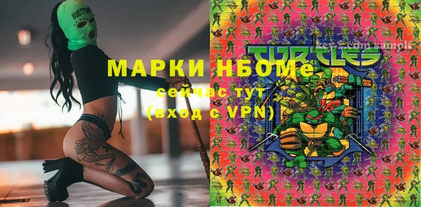 индика Лабытнанги