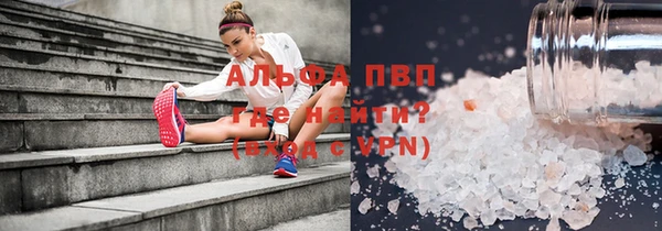 индика Лабытнанги