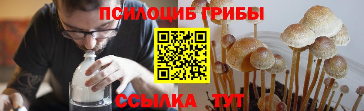 Галлюциногенные грибы Magic Shrooms  Псилоцибиновые грибы Magic Shrooms  Вход с VPN  Амурск 
